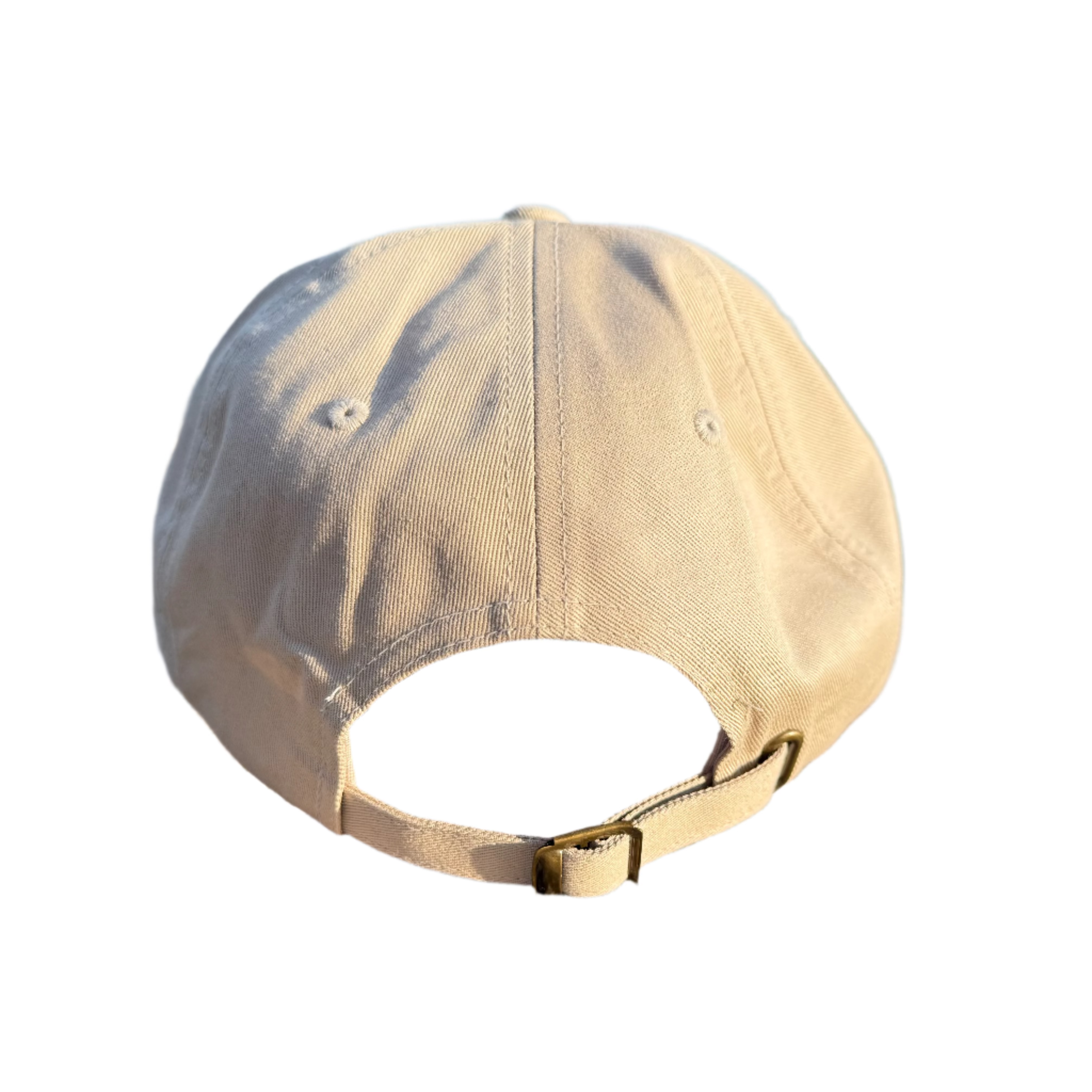 Beige cap on a rock with water and lily pads in the background